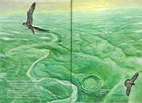 Stonehenge (National Geographic 105 - juin 2008) (28b)